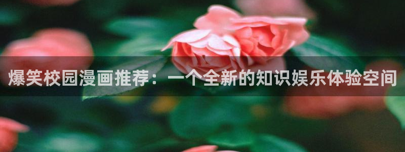 漫蛙漫画(网页)